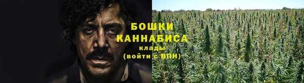 прущая мука Верея