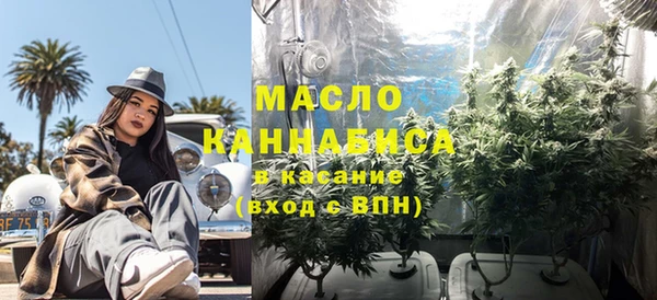 бошки Бронницы